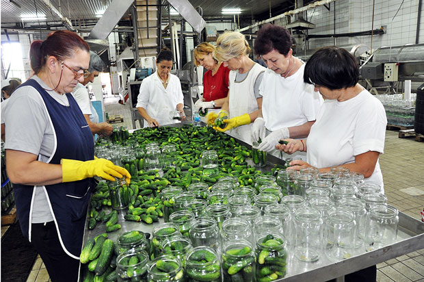 Ајвар припремају и за Дубаи  